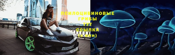 гидра Алзамай