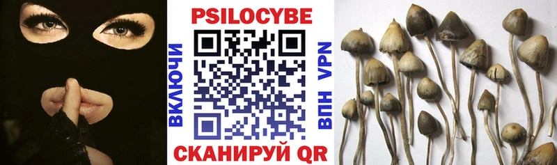 Галлюциногенные грибы мицелий  Отрадный 
